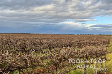 Lot 4 Playford Rd, Sunlands, SA 5322