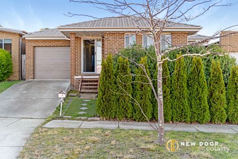 Property photo of 37 Jimmy Clements Crescent Bonner ACT 2914