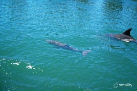 Property photo of 25 Burrawong Parade Urunga NSW 2455