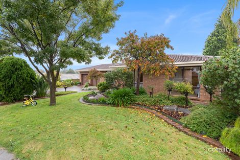 11 Lark Ct, Wynn Vale, SA 5127