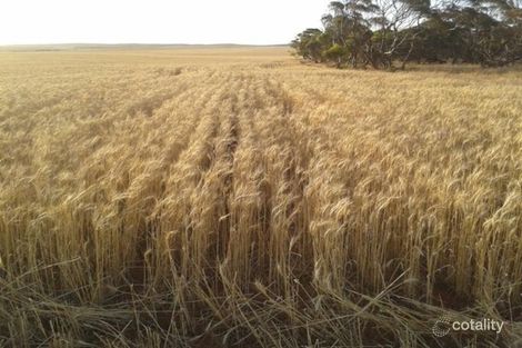 683 Broadbent Rd, Miltalie, SA 5602