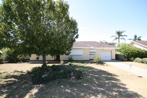 56 Pine Ave, Novar Gardens, SA 5040