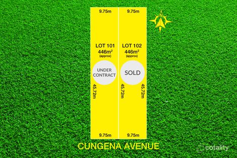 50 Cungena Ave, Park Holme, SA 5043