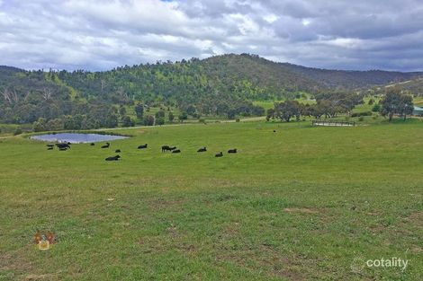 108 Collins Rd, Flowerdale, VIC 3717