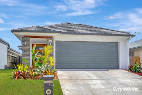 16 Potocki St, Logan Reserve, QLD 4133