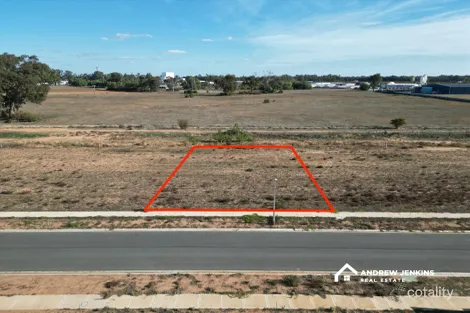Property photo of 55 Grasso Drive Cobram VIC 3644