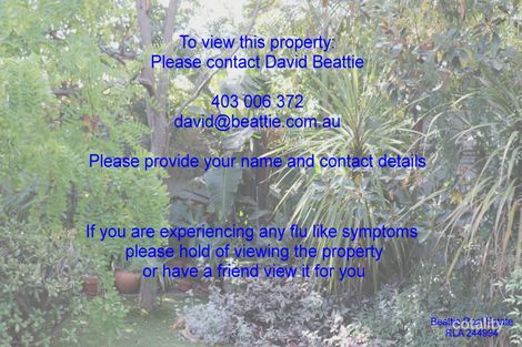 66 Shakespeare Ave, Magill, SA 5072