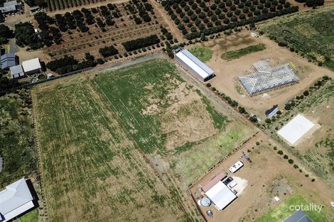 14 Moontongue Dr, Gol Gol, NSW 2738