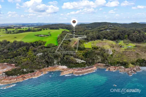 40 Banksia Park Rd, Sisters Beach, TAS 7321