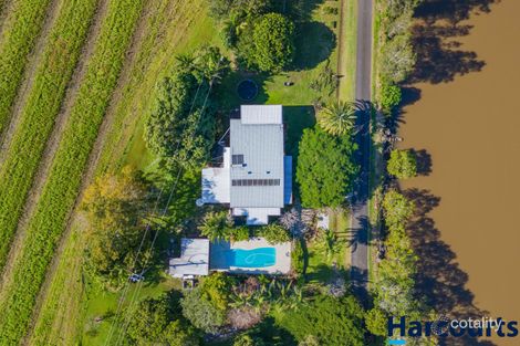 Property photo of 125 Riverbank Road Pimlico NSW 2478