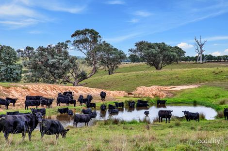 127 Balgonie Lane, Perry Bridge, VIC 3862