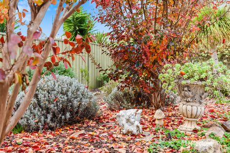 36 Otama Ct, Craigmore, SA 5114