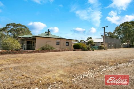 Property photo of 21 Burrows Street Willaston SA 5118