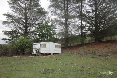 Property photo of 1218 Dry Plains Road Wambrook NSW 2630