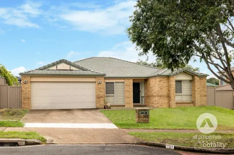 Property photo of 137 Macquarie Way Drewvale QLD 4116