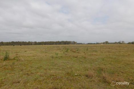 295 Marks Lane, Leeville, NSW 2470