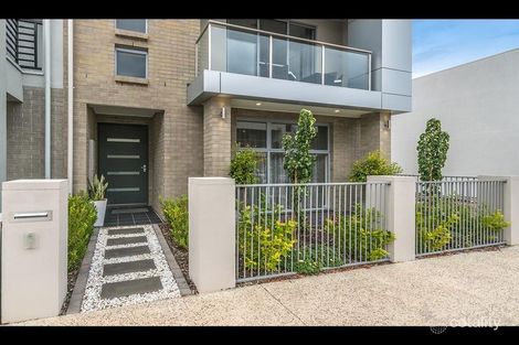 Property photo of 3 Bradley Terrace Lightsview SA 5085