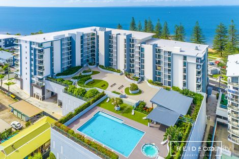 3/113 Landsborough Ave, Scarborough, QLD 4020