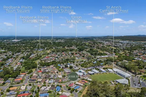 Property photo of 45 Patsy Crescent Redbank Plains QLD 4301