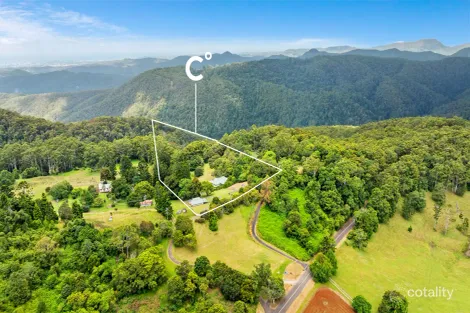 Property photo of 653 Pine Creek Road Springbrook QLD 4213