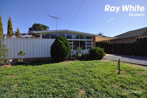 Property photo of 7 Grovely Street Elizabeth Vale SA 5112