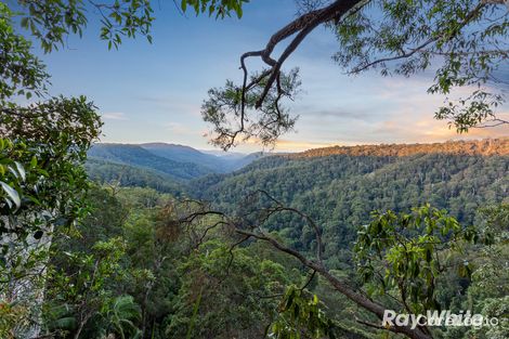 Property photo of 41 Gwongorella Parade Springbrook QLD 4213