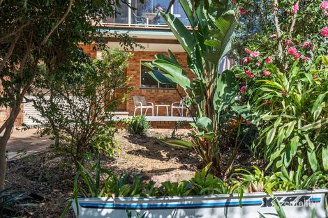 Property photo of 6 Balcolyn Street Balcolyn NSW 2264