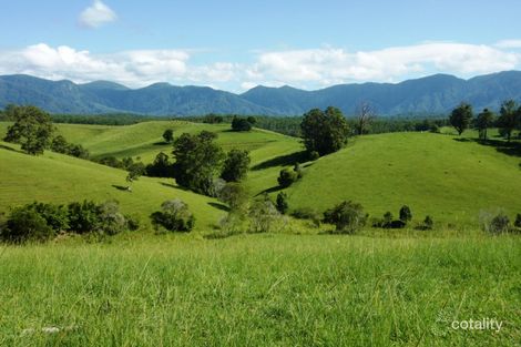 285 Hydes Creek Rd, Bellingen, NSW 2454