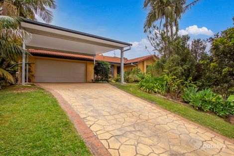 20 Tuckeroo Ave, Mullumbimby, NSW 2482