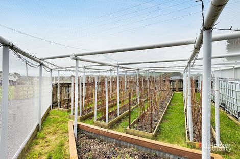 Property photo of 464 Mount Hicks Road Mount Hicks TAS 7325