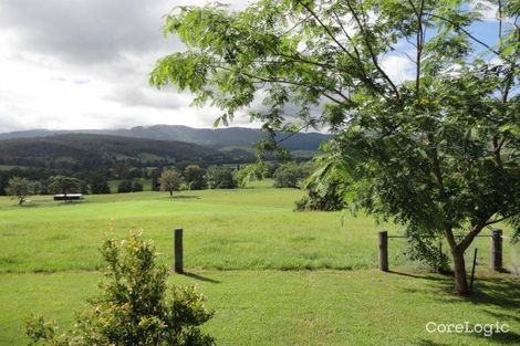Property photo of 11658 Mount Lindesay Highway Palen Creek QLD 4287