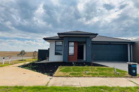 91 Adelong Bvd, Cobblebank, VIC 3338