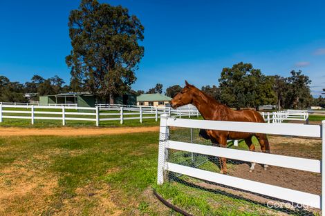 Property photo of 37 Grassy View Gidgegannup WA 6083