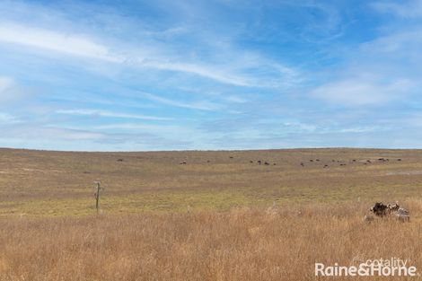 Property photo of 55 Mendel Drive Kelso NSW 2795