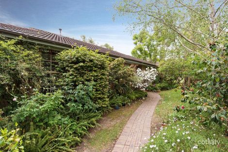 Property photo of 9 Morrison Crescent Kilsyth VIC 3137