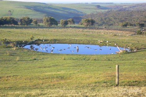 Property photo of 72 Eastern Grey Rise Flinders VIC 3929