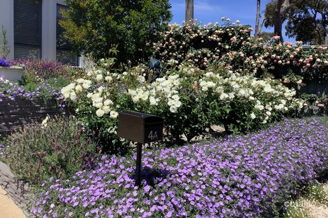 Property photo of 4A Webb Street Clare SA 5453