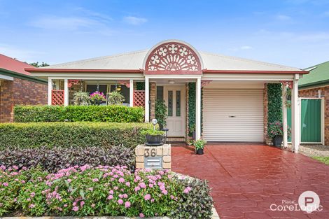Property photo of 36 Wattle Street Cannon Hill QLD 4170