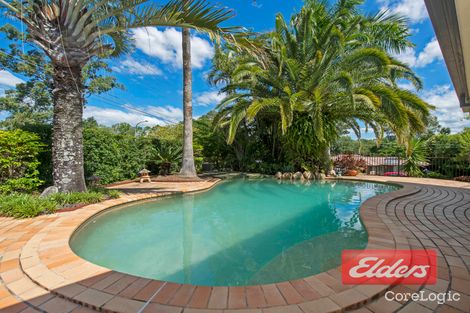 Property photo of 1 Kiewa Drive Loganholme QLD 4129
