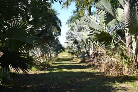 Lot 1 Shell Pocket Rd, Shell Pocket, QLD 4855