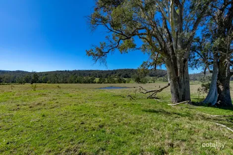 Property photo of 9859 Princes Highway Cobargo NSW 2550
