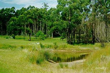 Property photo of 3120 Wingham Road Comboyne NSW 2429