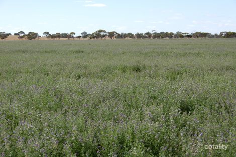 247 Zwar Rd, Keith, SA 5267