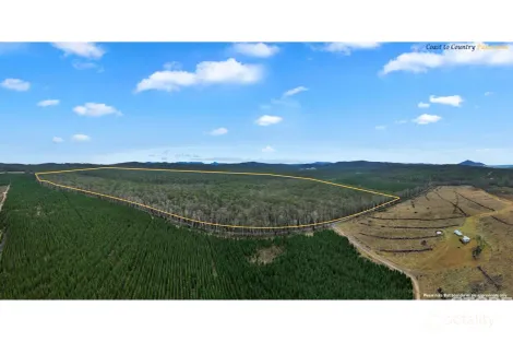 Property photo of 955 Bendoc-Orbost Road Bendoc VIC 3888