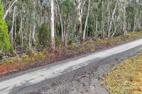955 Bendoc-Orbost Rd, Bendoc, VIC 3888