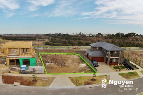 Property photo of 29 Rice Flower Road Sunshine North VIC 3020