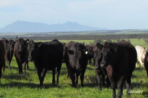 279 Moorialup Rd, Napier, WA 6330