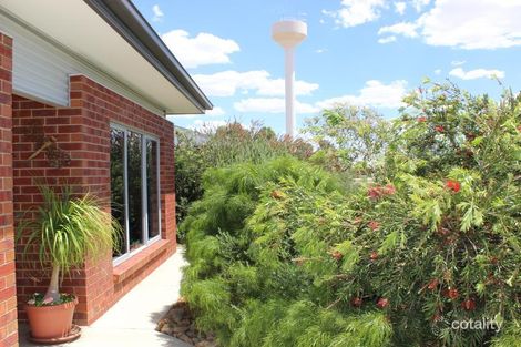 Property photo of 37 Boree Drive Swan Hill VIC 3585