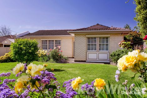 Property photo of 15 Mariner Street Linden Park SA 5065