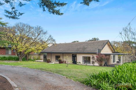 Property photo of 23 Wonoka Street Eden Hills SA 5050